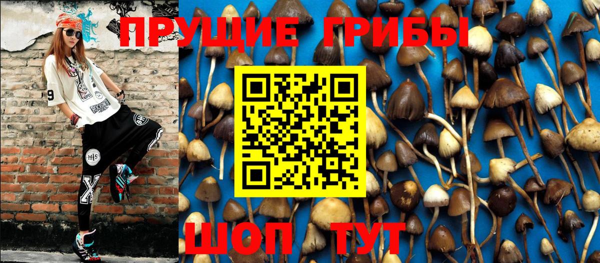 Галлюциногенные грибы Magic Shrooms  Вход с VPN  Псилоцибиновые грибы Cubensis  Ржев 